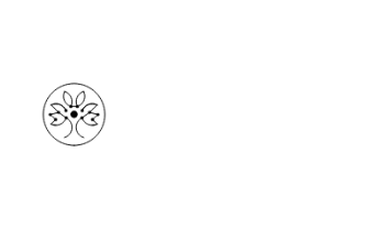 istaryvision